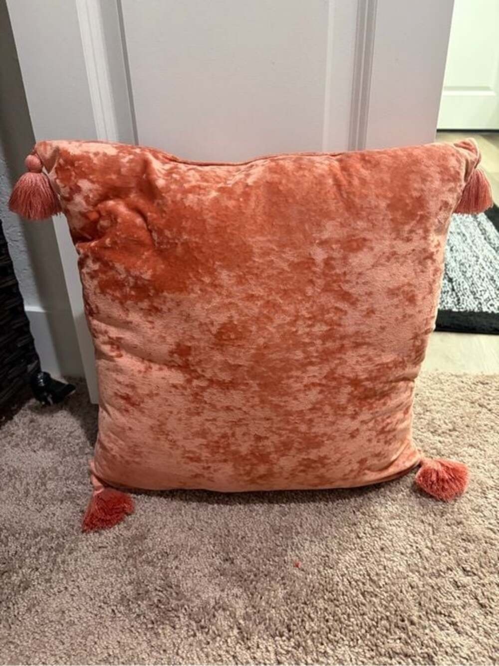 Velvet Tassel Throw Pillow in Coral